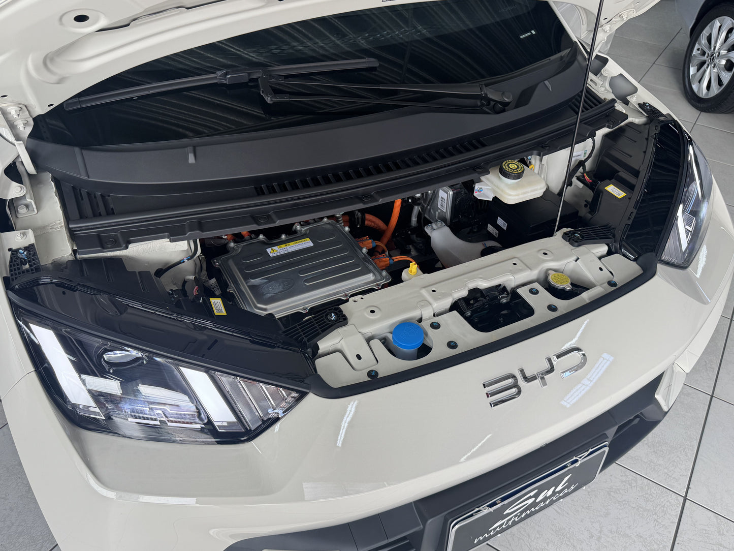 BYD DOLPHIN MINI GS EV