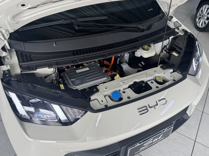 BYD DOLPHIN MINI GS EV