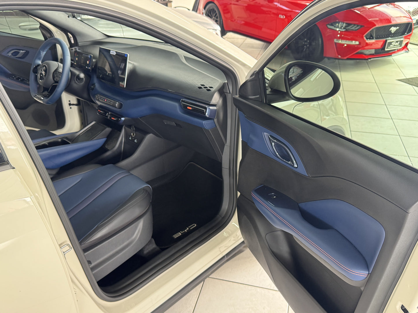 BYD DOLPHIN MINI GS EV