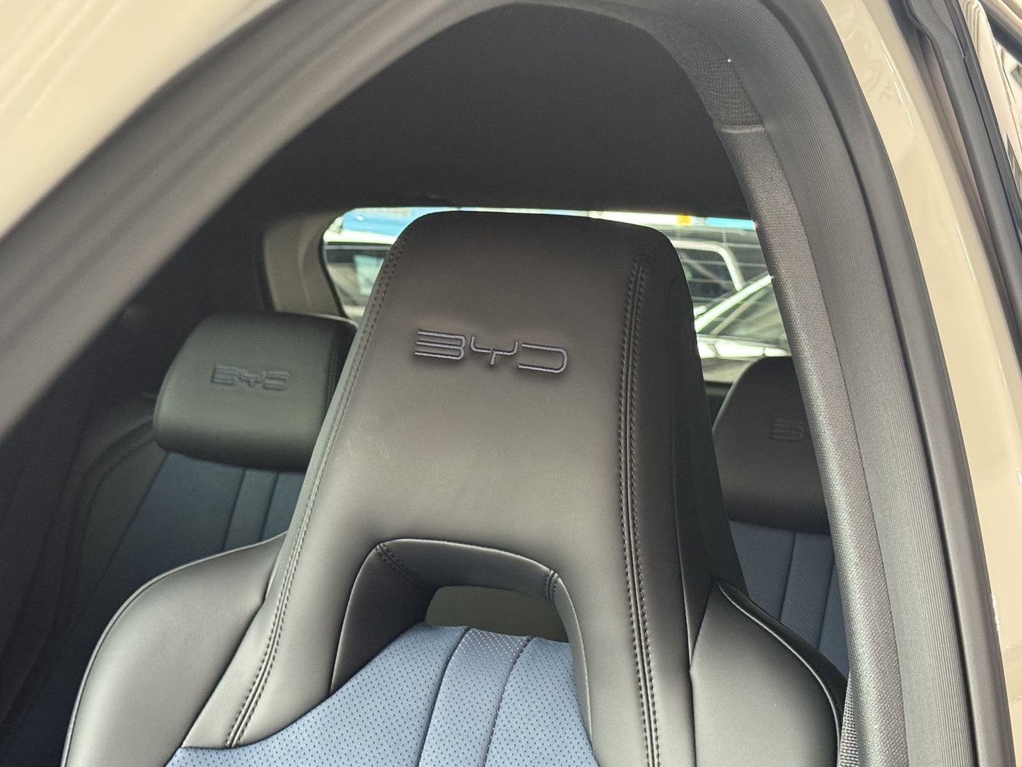 BYD DOLPHIN MINI GS EV