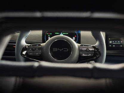 BYD DOLPHIN MINI GS EV