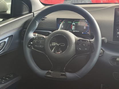 BYD DOLPHIN MINI GS EV