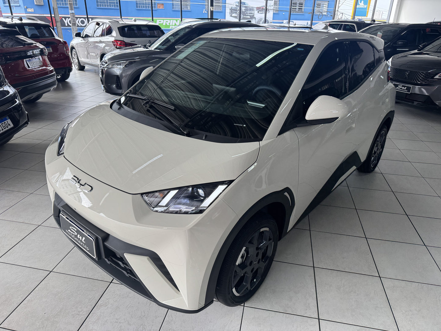 BYD DOLPHIN MINI GS EV