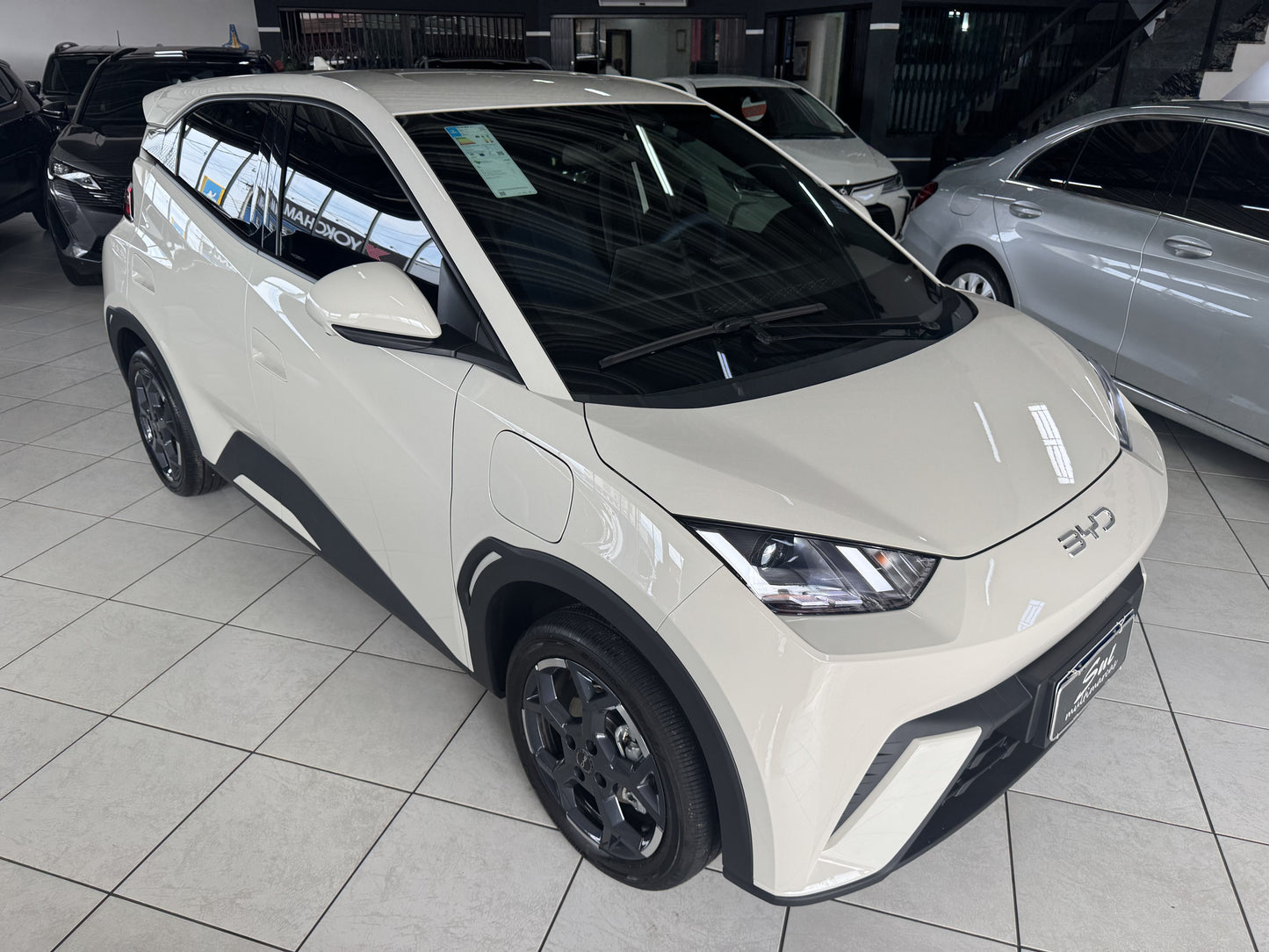BYD DOLPHIN MINI GS EV